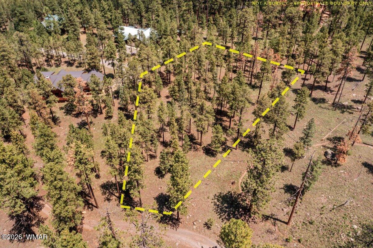 14 County Rd N1062 Greer, AZ 85927 - Photo 10 of 15 Gallery Image 10