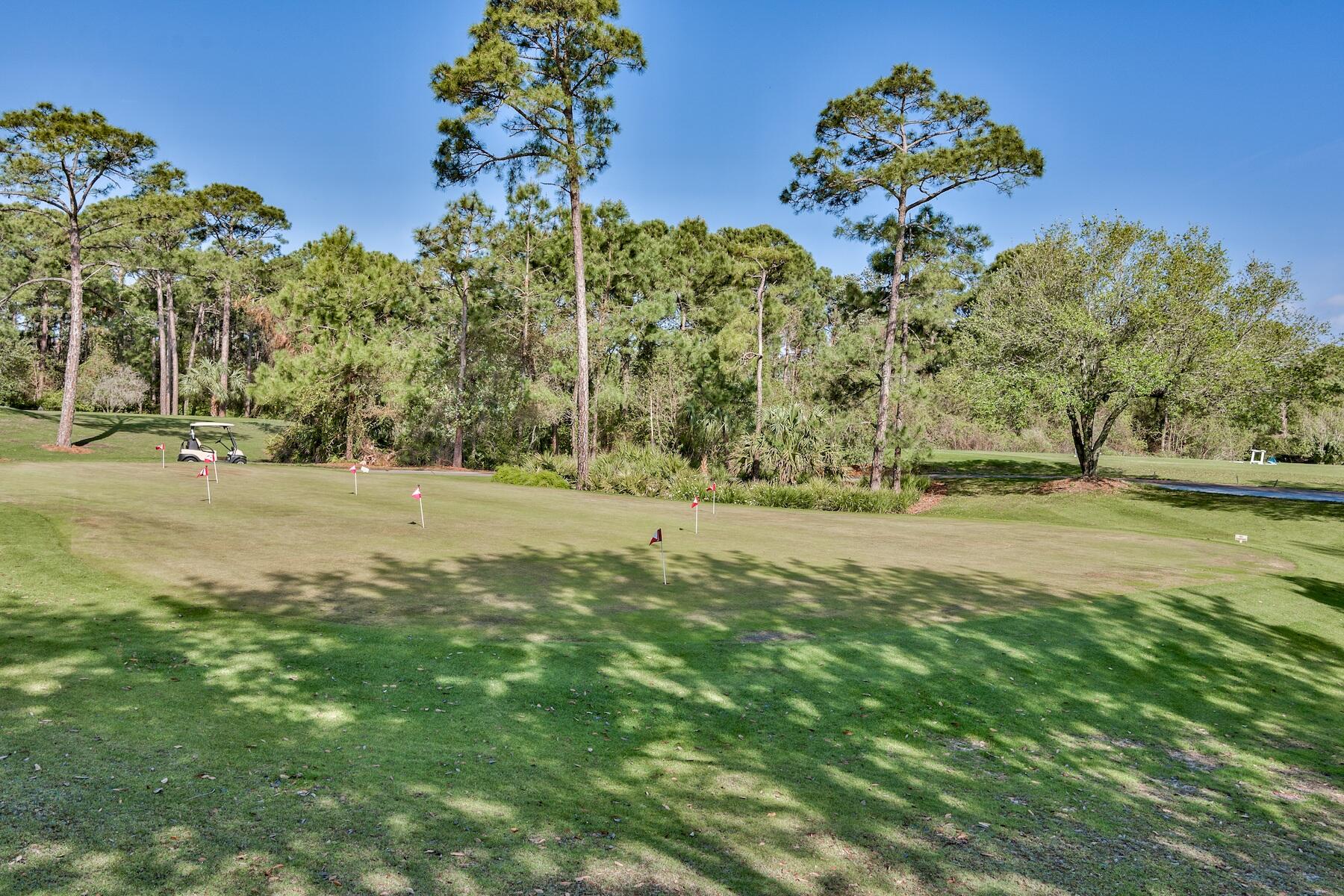 488 Regatta Bay Boulevard Destin, FL 32541 - Photo 43 of 46 a view of a yard with a tree