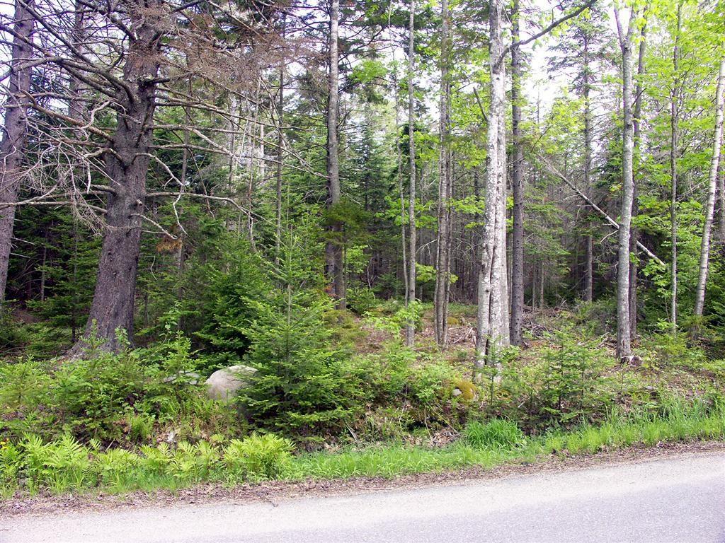 Lot Oak Oak Point Road Trenton, ME 04605 - Photo 6 of 10 Photo