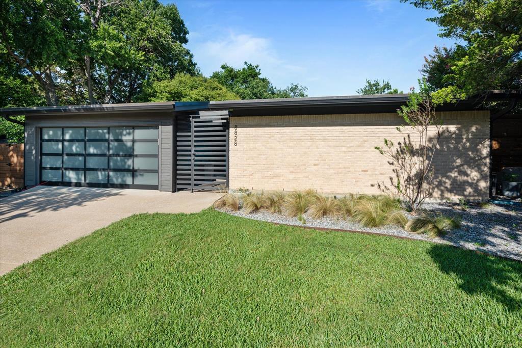 a view of a backyard with a large tree