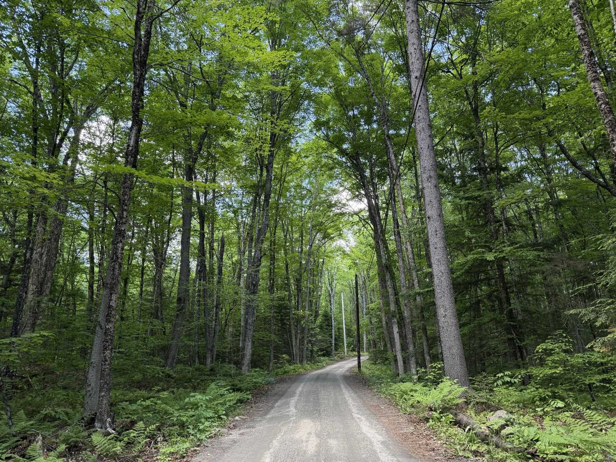 78 Buzzell Road East Morgan, VT 05853 - Photo 8 of 22