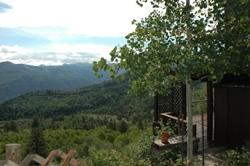 60 Fawn Lane Ridgway, CO 81432 - Photo 3 of 5 View to the East