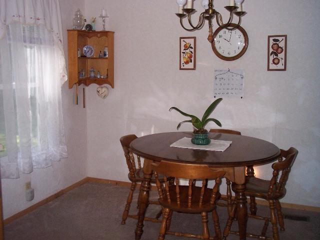 9185 River Road Evart, MI 49631 - Photo 4 of 17 Additional Photo