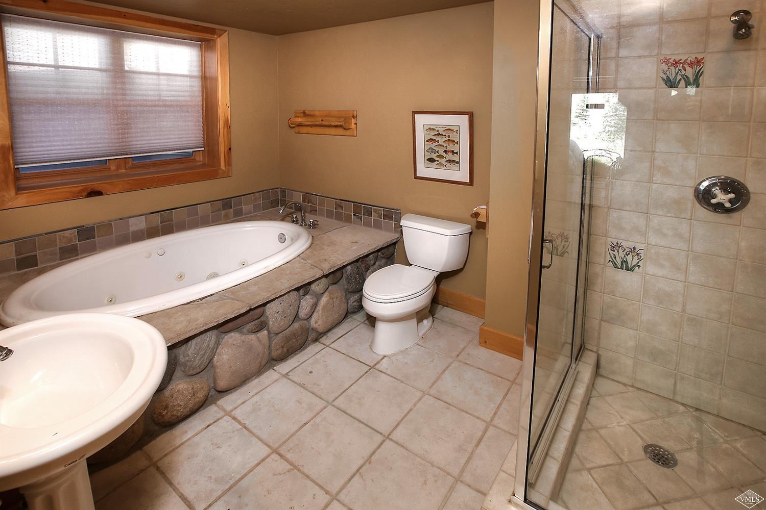 440 Eagle River Street Minturn, CO 81645 - Photo 23 of 24 a bathroom with a sink a toilet and shower