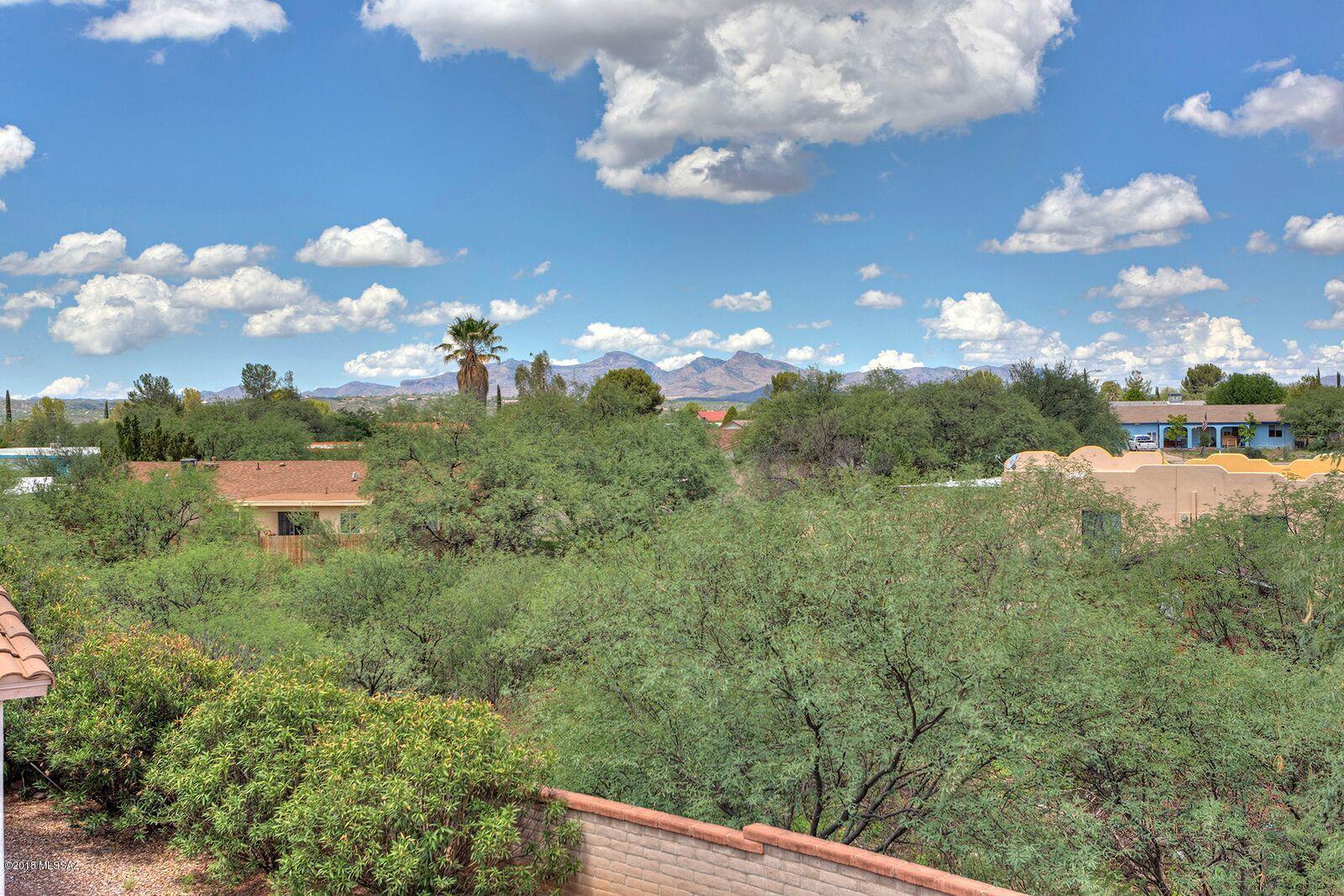 1134 Desert Flower Court Rio Rico, AZ 85648 - Photo 10 of 34