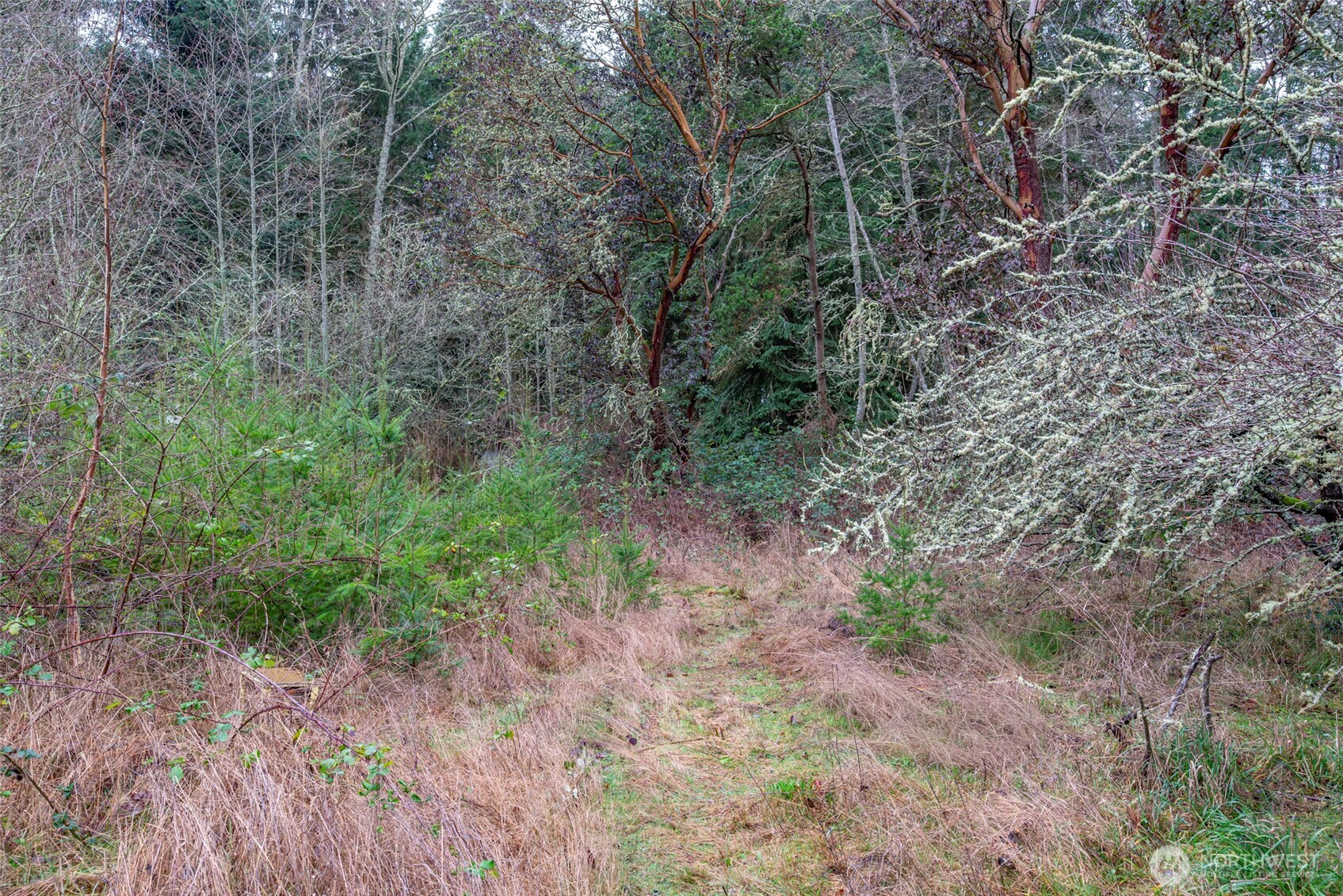 4117 Degraff Road Oak Harbor, WA 98277 - Photo 15 of 23 Gallery Image 15