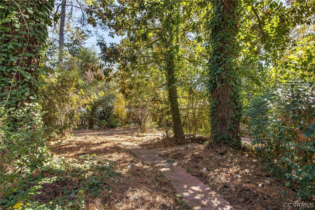 7114 Three Chopt Road Richmond, VA 23226 - Photo 29 of 31 Back Yard