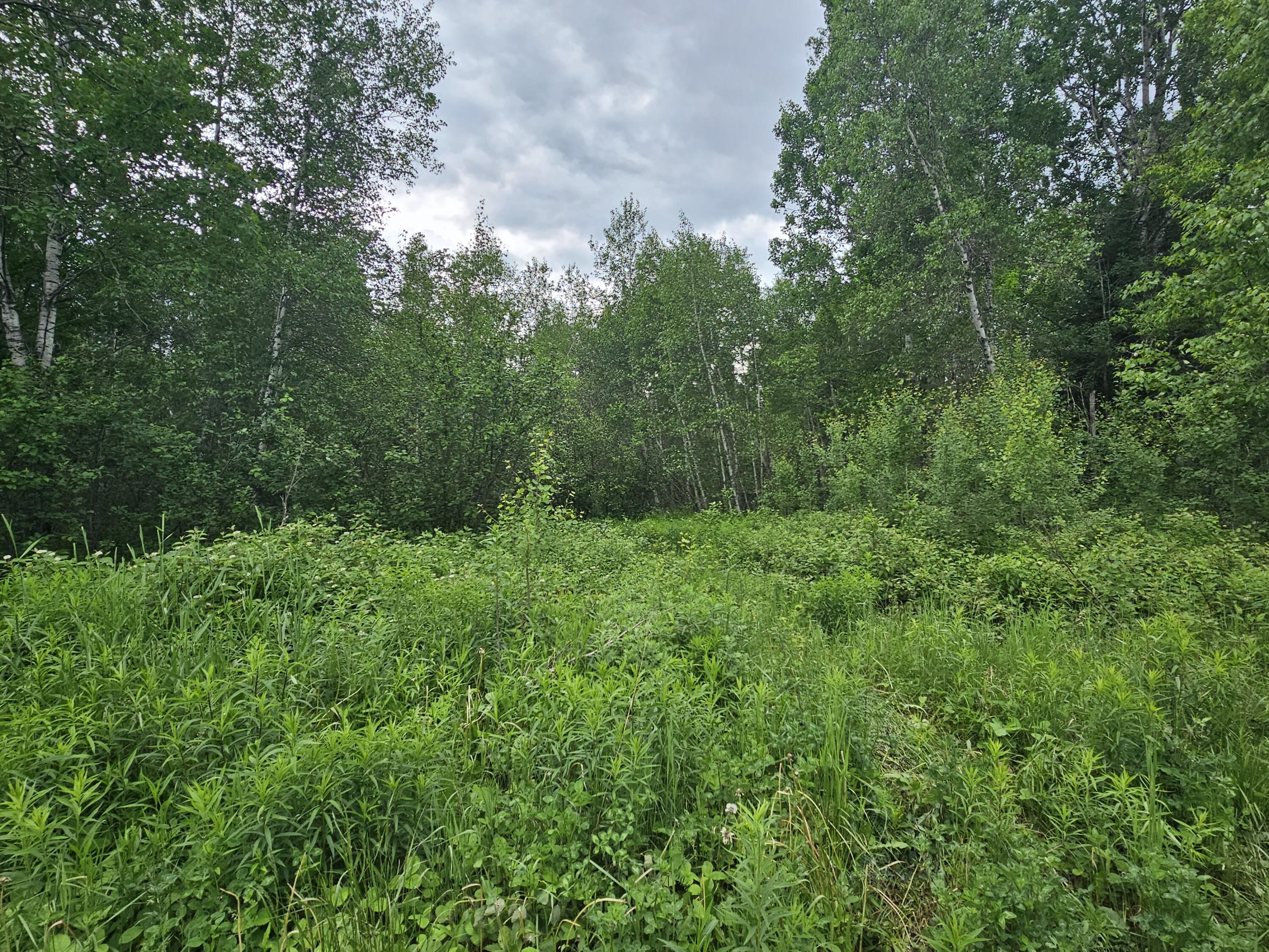 L6 Currie Road Oakfield, ME 04763 - Photo 8 of 11 20230619_165544