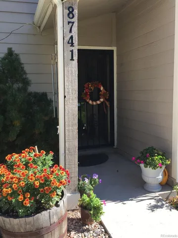 a view of a flowers in the balcony