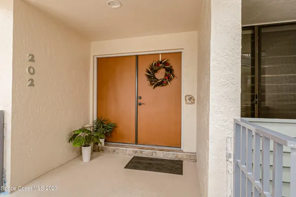 a potted plant sitting on a wooden floor