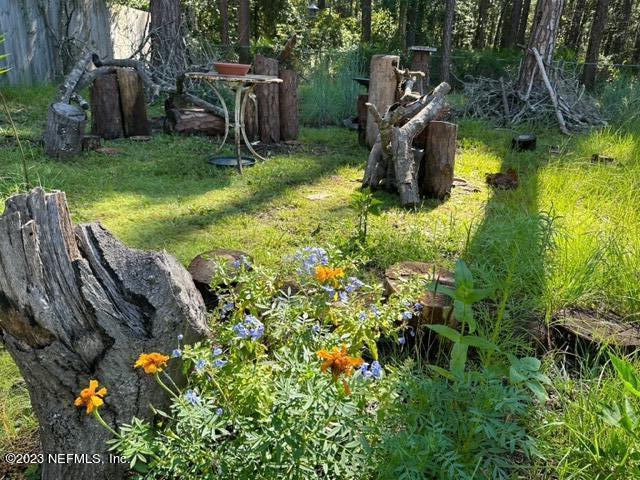 1504 Raiford Road Starke, FL 32091 - Photo 19 of 24 a garden view