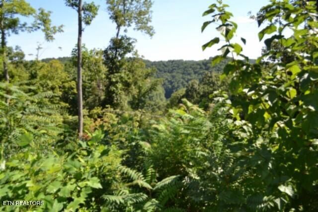 9.85-ac Rock Springs Road Celina, TN 38551 - Photo 9 of 48 DSC_0012