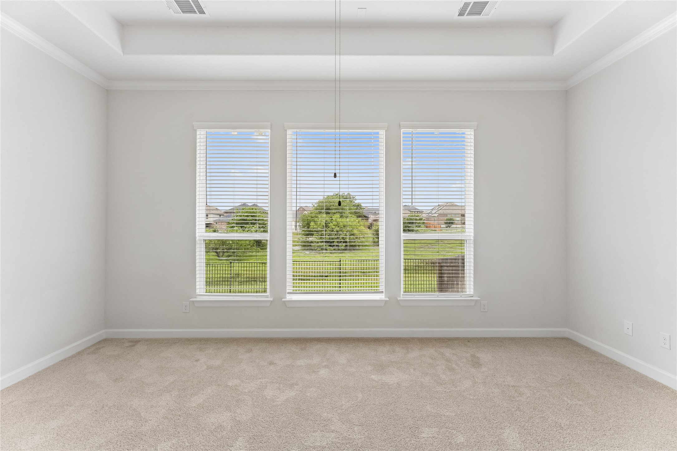 298 Wild Pecan Loop Buda, TX 78610 - Photo 19 of 40 an empty room with a window
