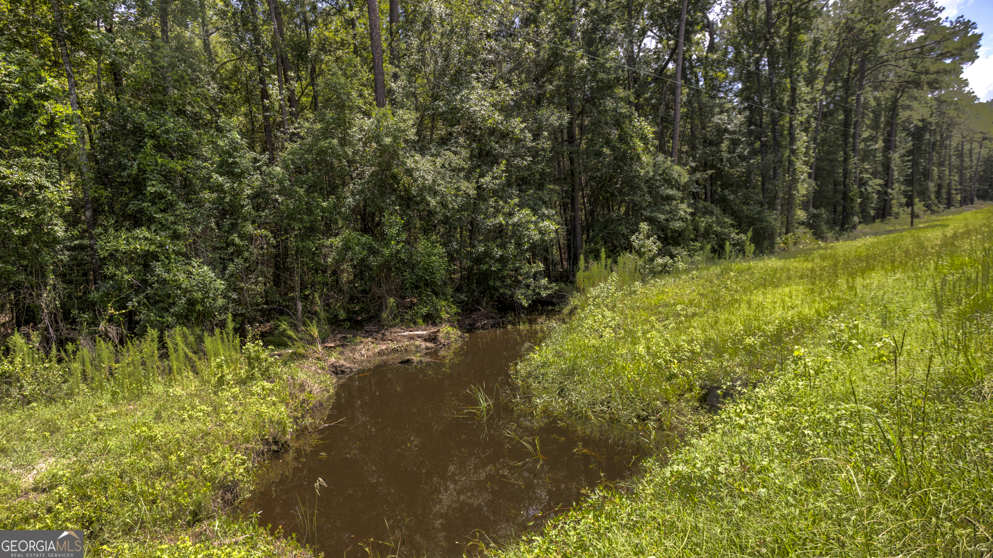 0 Stafford Road Claxton, GA 30417 - Photo 12 of 15 Gallery Image 12