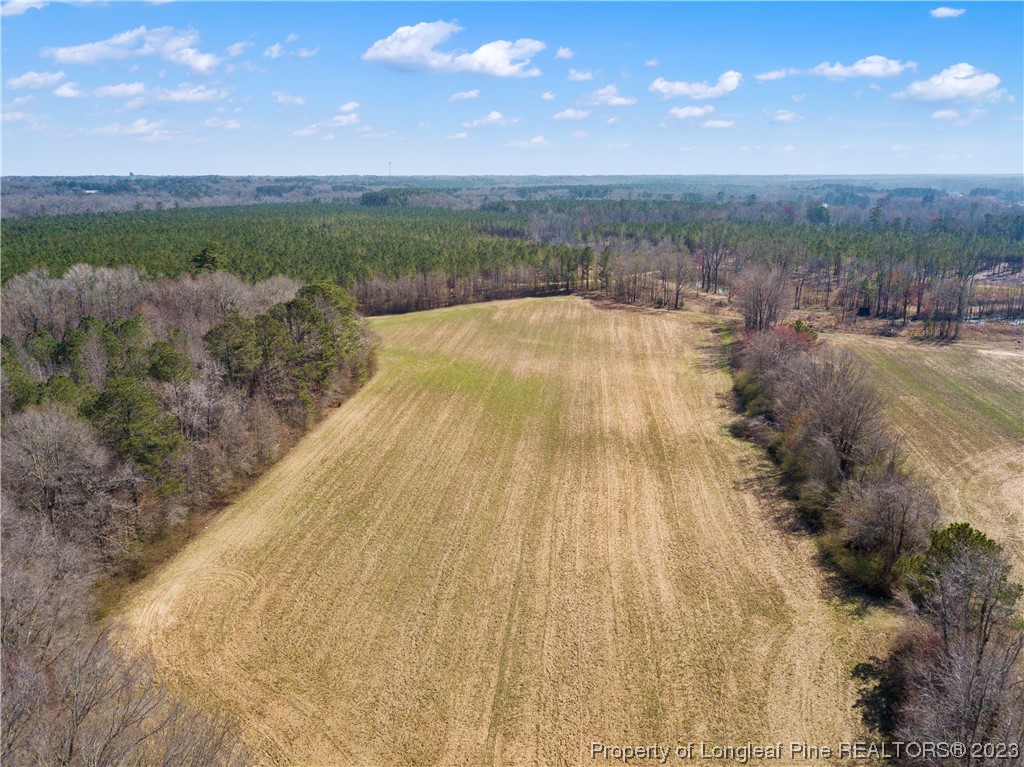 Gentry Road Erwin, NC 28339 - Photo 3 of 8 Gallery Image 3
