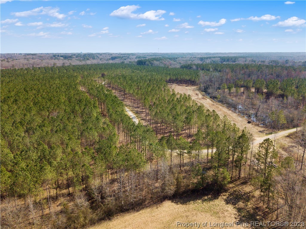 Gentry Road Erwin, NC 28339 - Photo 4 of 8 Gallery Image 4