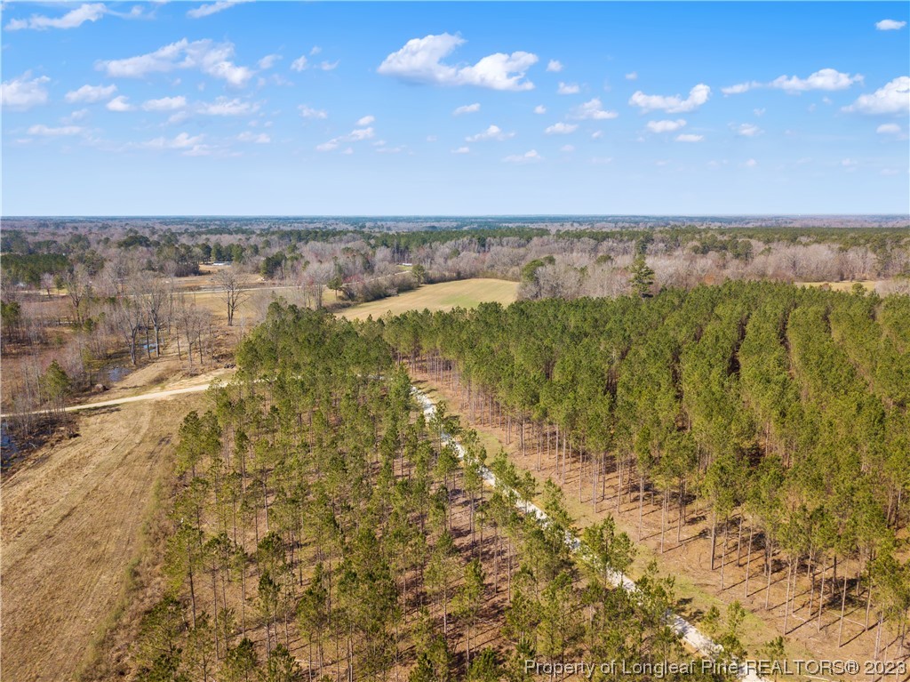 Gentry Road Erwin, NC 28339 - Photo 5 of 8 Gallery Image 5