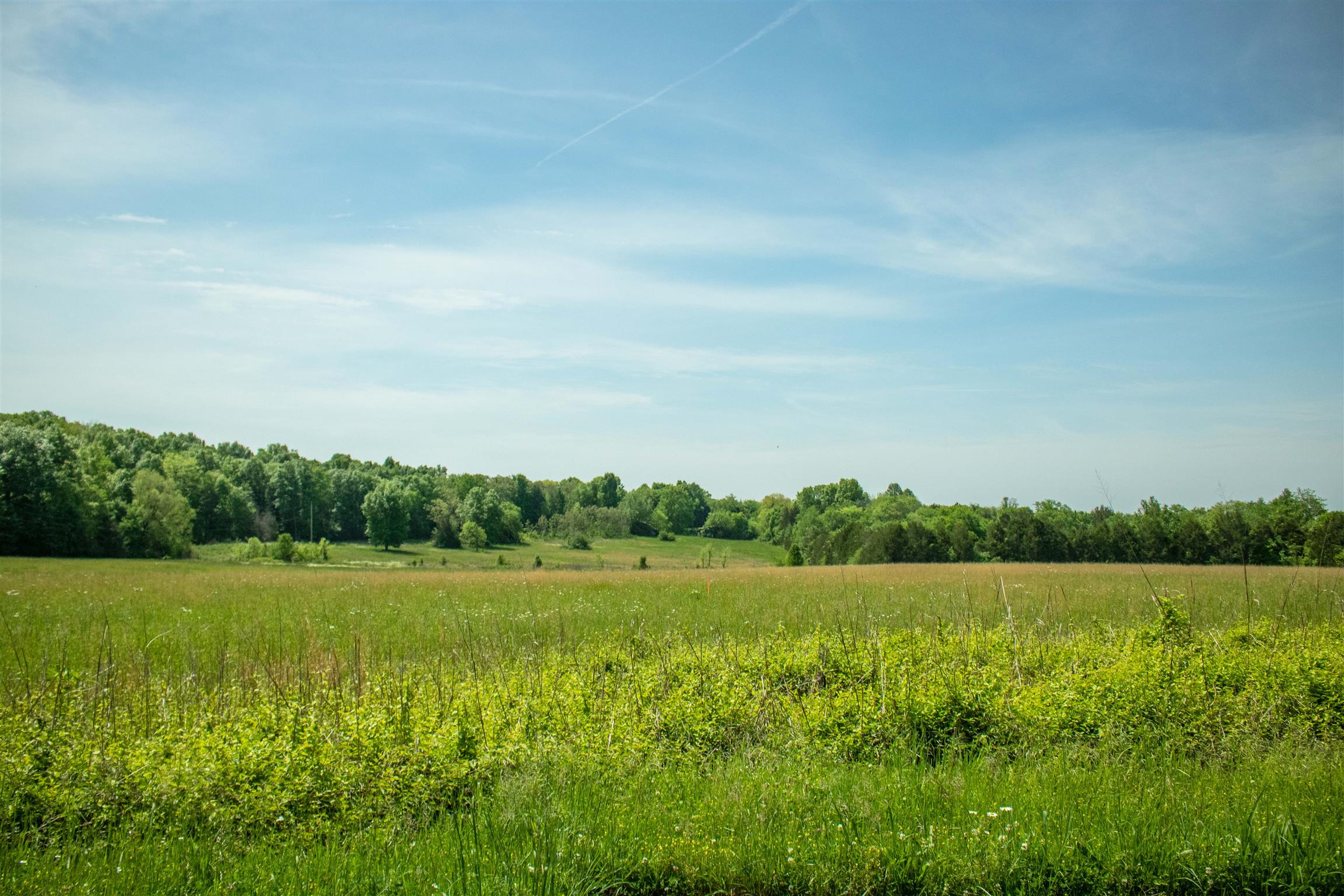 8443 Pettus Road Eagleville, TN 37060 - Photo 1 of 10 Stunning! Welcome to 8443 Pettus Road