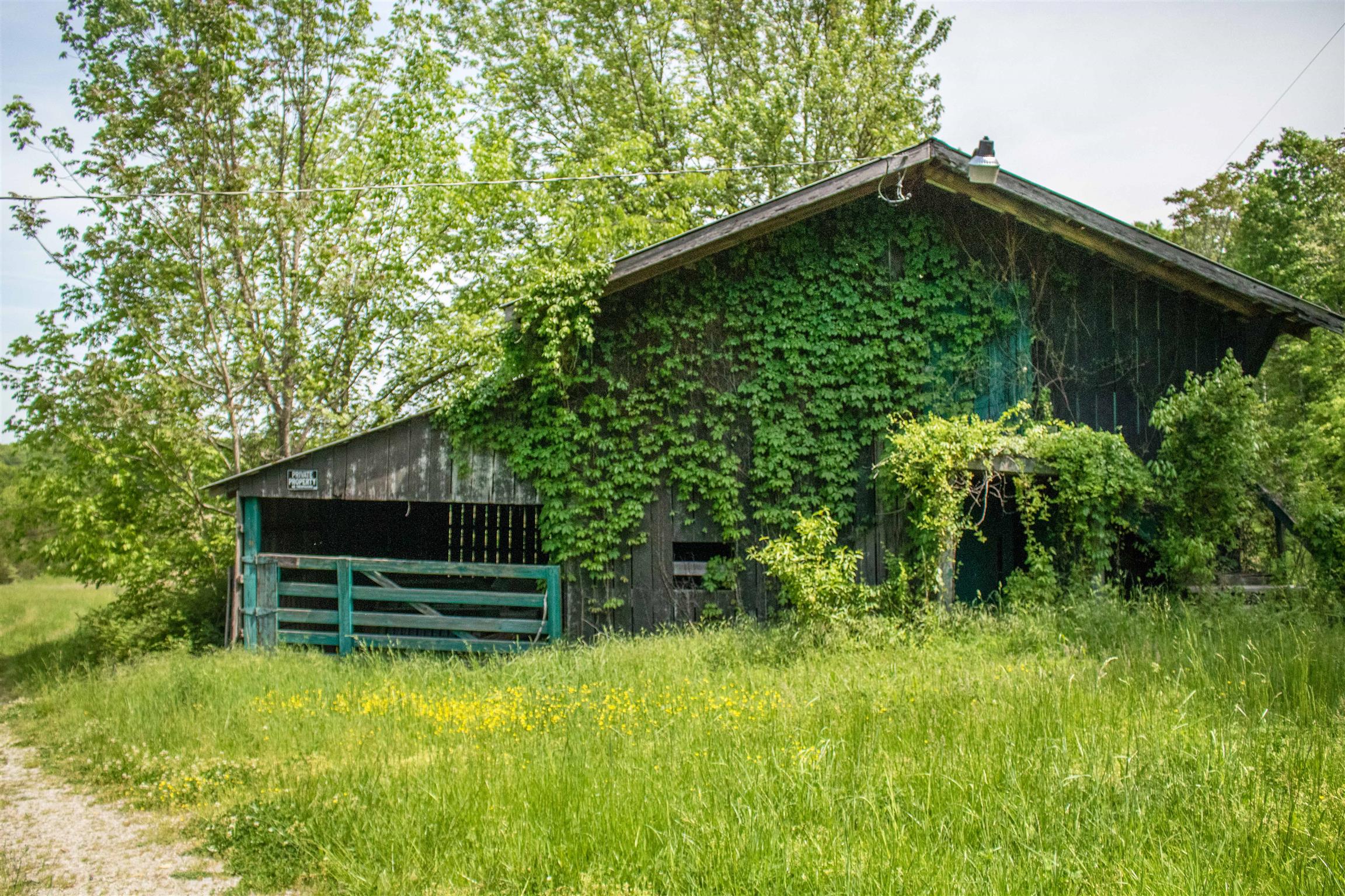 8443 Pettus Road Eagleville, TN 37060 - Photo 3 of 10 Cool old barn!