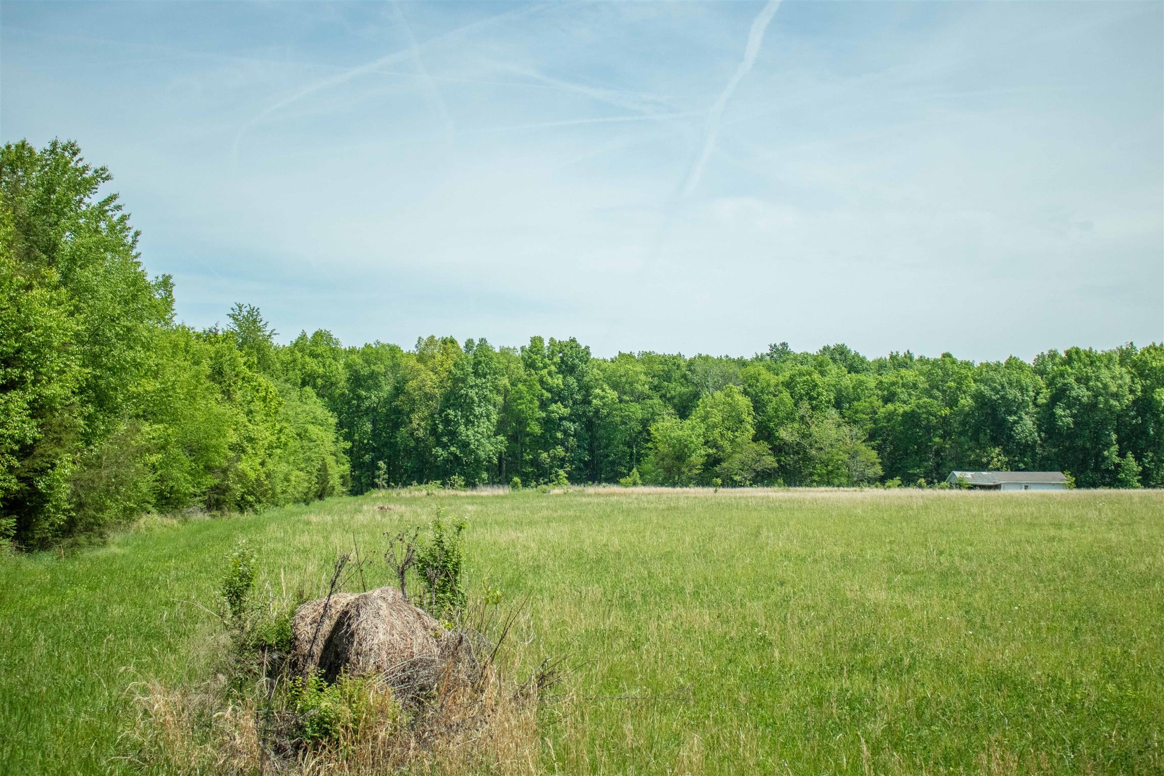 8443 Pettus Road Eagleville, TN 37060 - Photo 10 of 10 Gallery Image 10