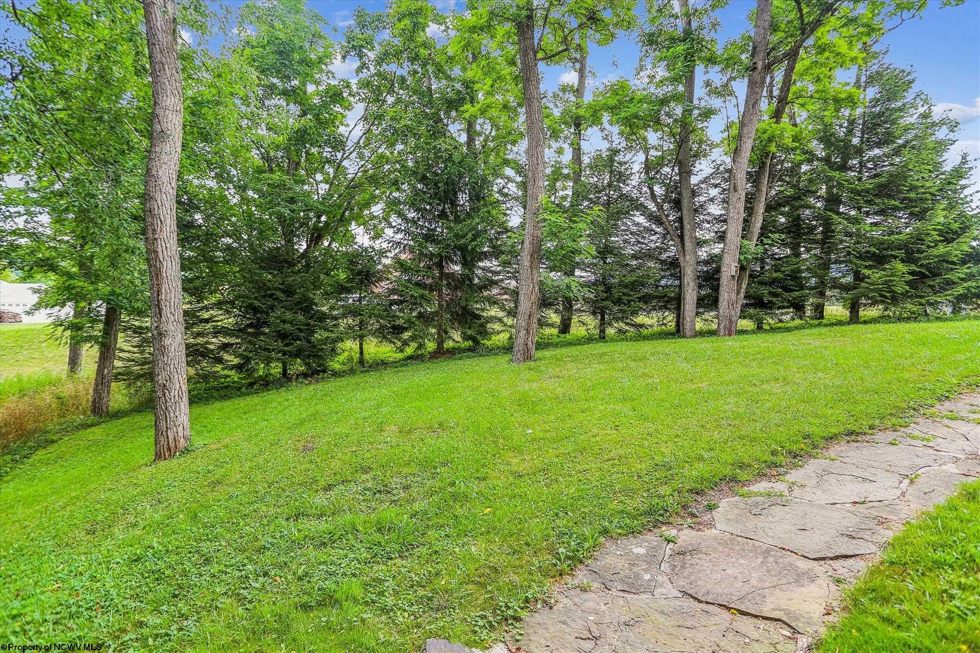 199 Bonner Mountain Road Dryfork, WV 26263 - Photo 34 of 37 Gallery Image 34