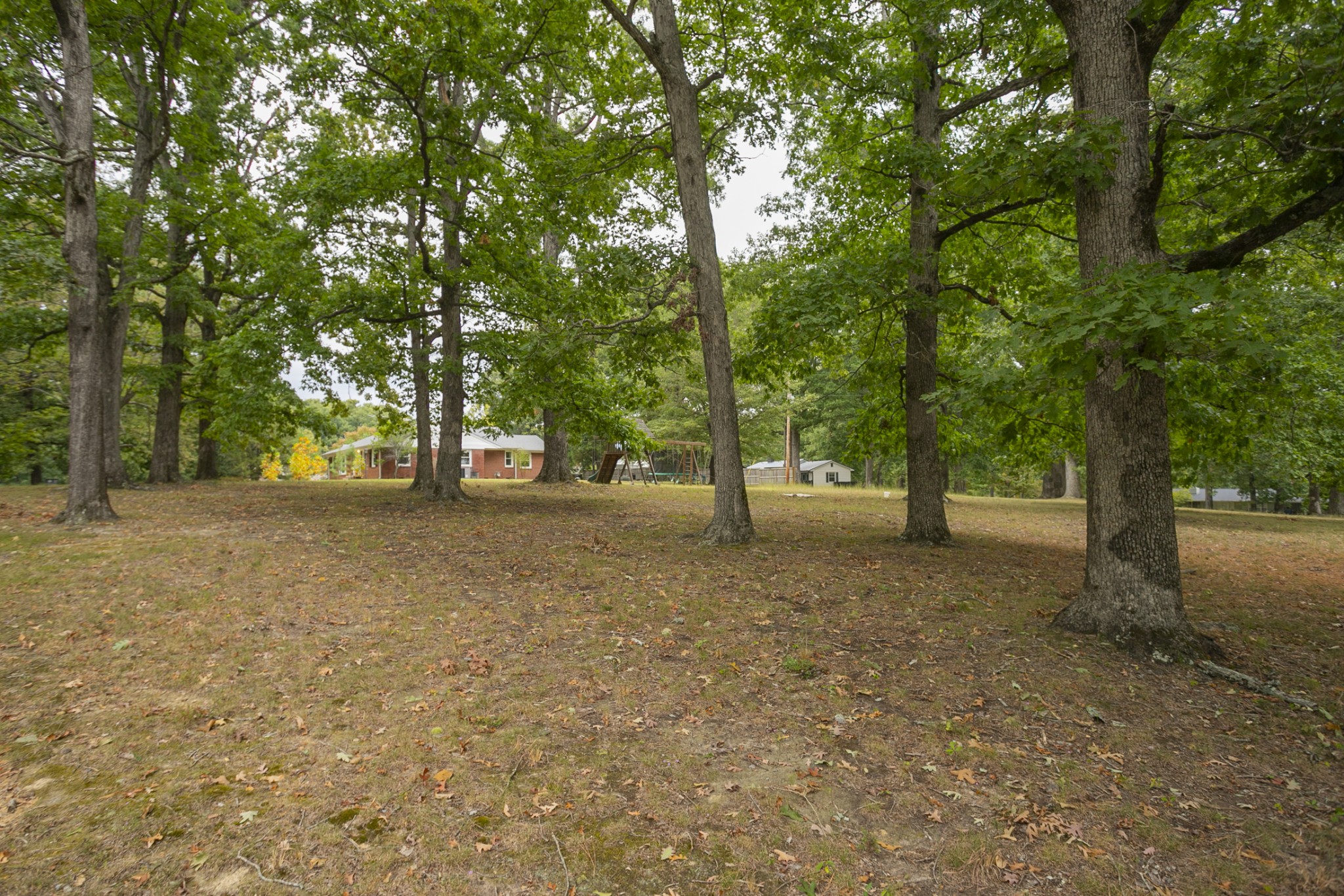 105 Echo Road Dickson, TN 37055 - Photo 28 of 32 a view of outdoor space with trees