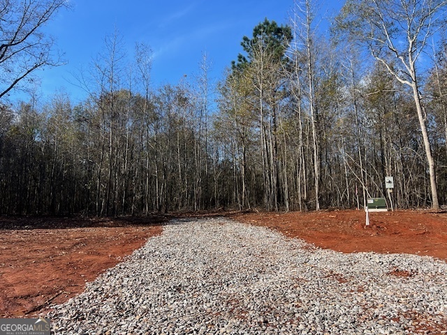 146 Berry Road, Unit LOT 12B Barnesville, GA 30204 - Photo 3 of 11