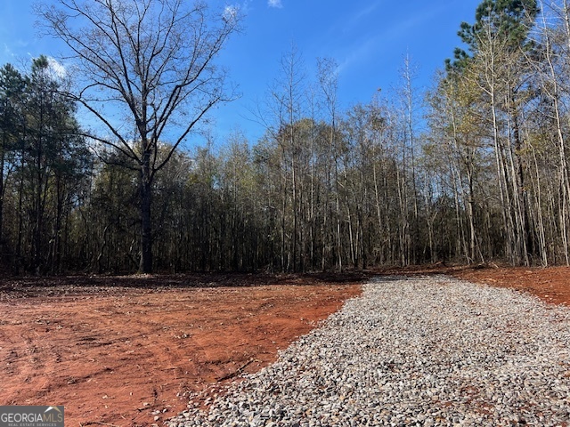 146 Berry Road, Unit LOT 12B Barnesville, GA 30204 - Photo 4 of 11