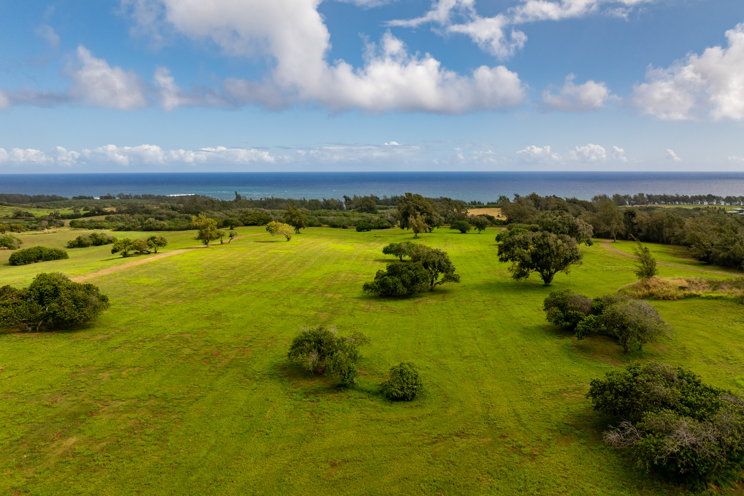 a view of an ocean and beach