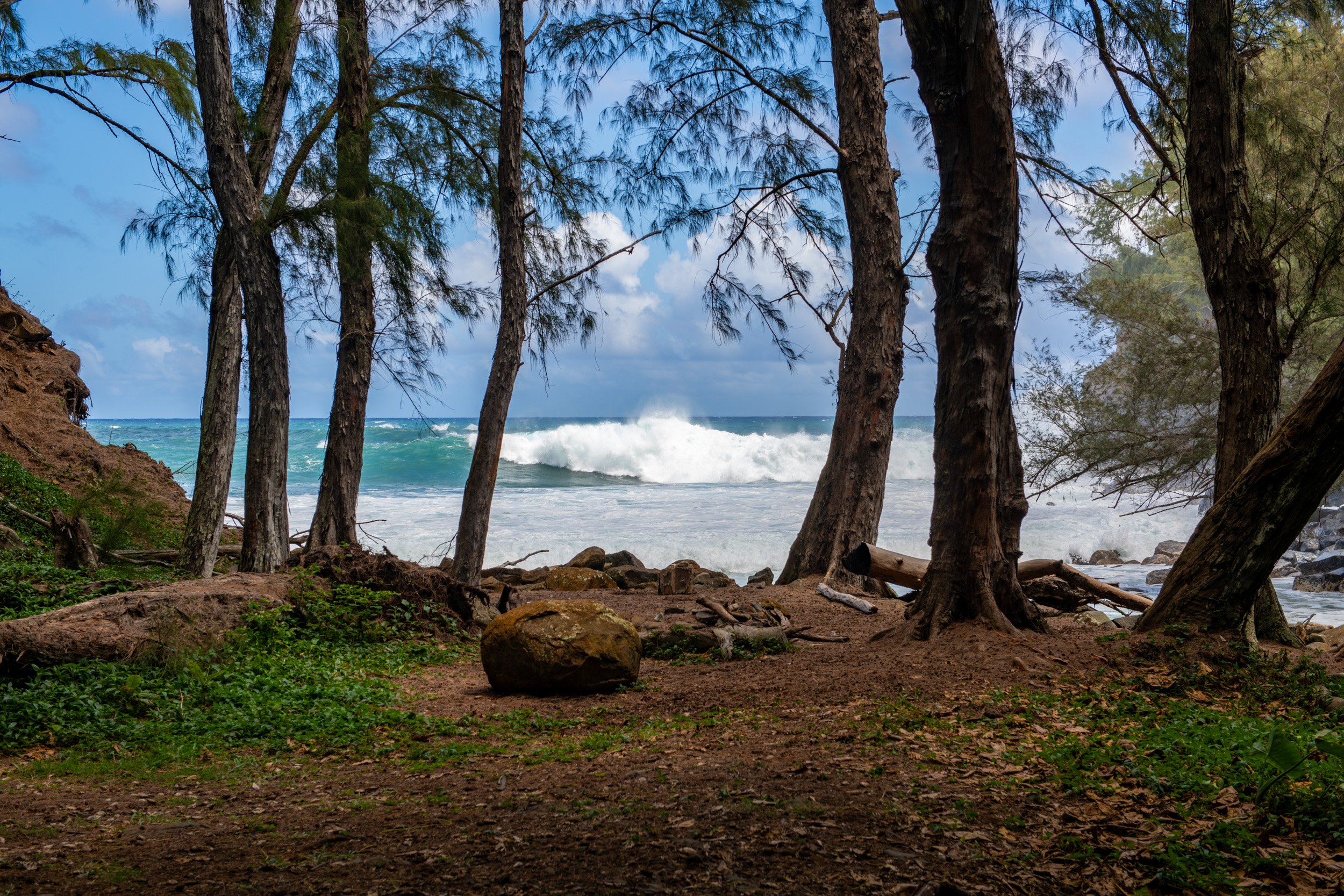 53-4223 Lot 4 Pratt Road Kapaau, HI 96755 - Photo 15 of 30 a view of a backyard of the house
