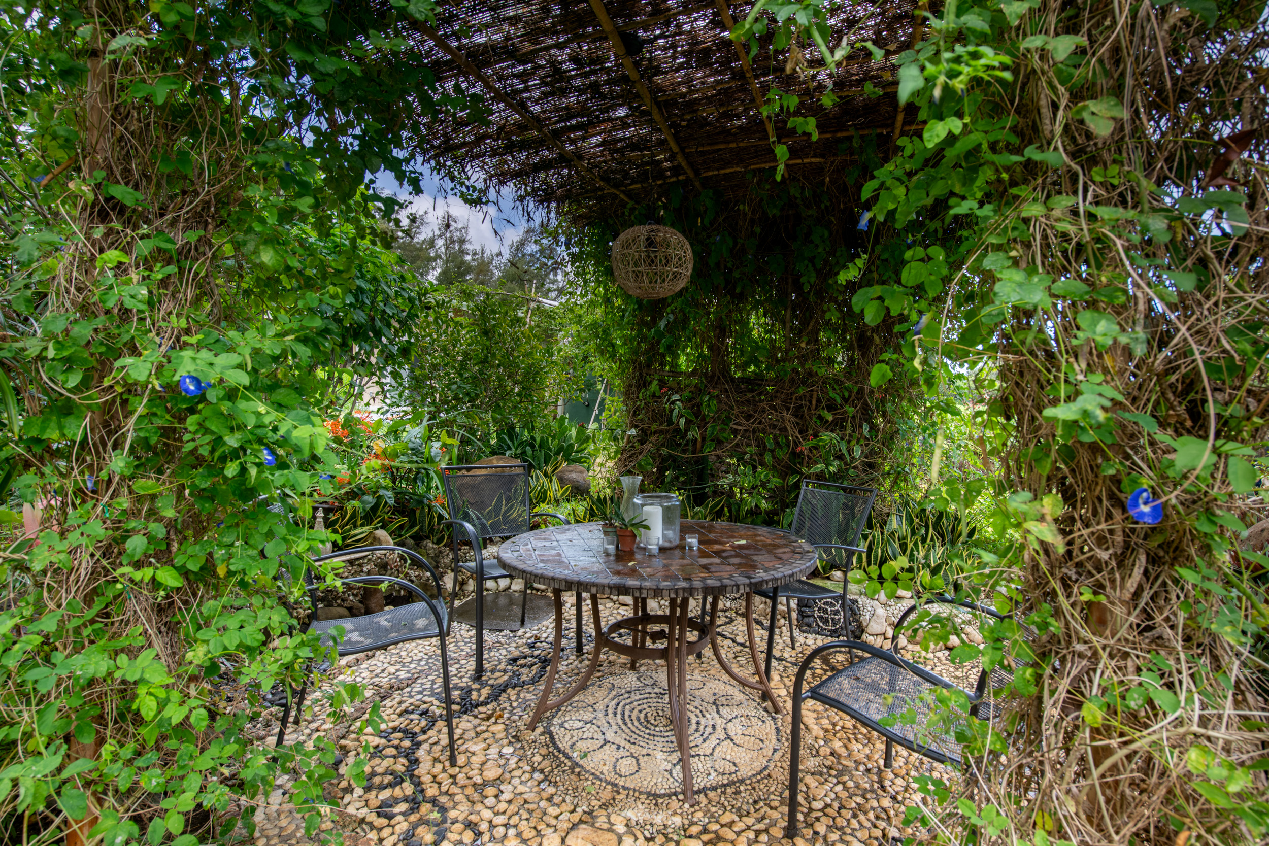 53-4223 Lot 4 Pratt Road Kapaau, HI 96755 - Photo 16 of 30 a backyard with table and chairs with potted plants