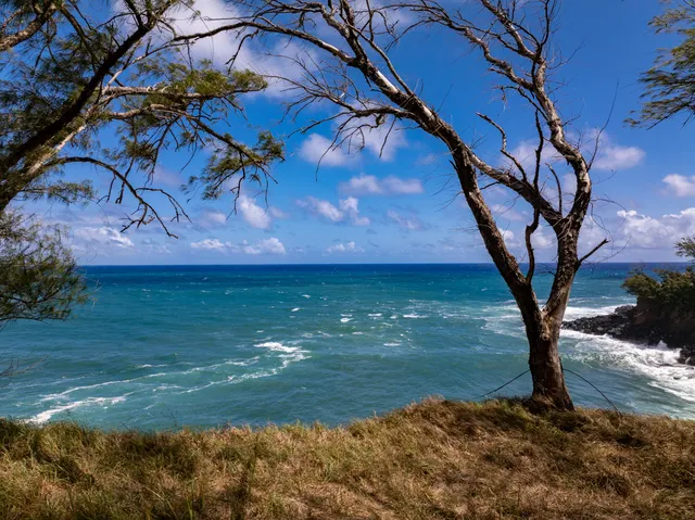 $3,350,000 | 53-4223 Lot 4 Pratt Road, Kapaau, HI 96755