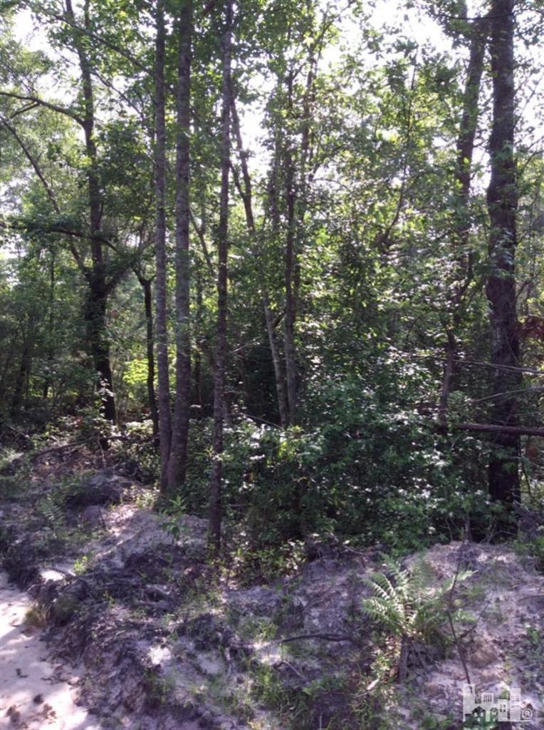 7801 Slocum Trail Atkinson, NC 28421 - Photo 22 of 30 Additional Photo