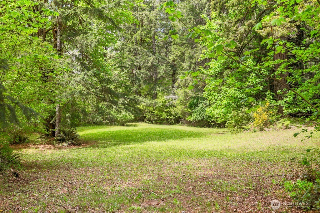 3480 Northeast Belfair Tahuya Road Tahuya, WA 98588 - Photo 12 of 40
