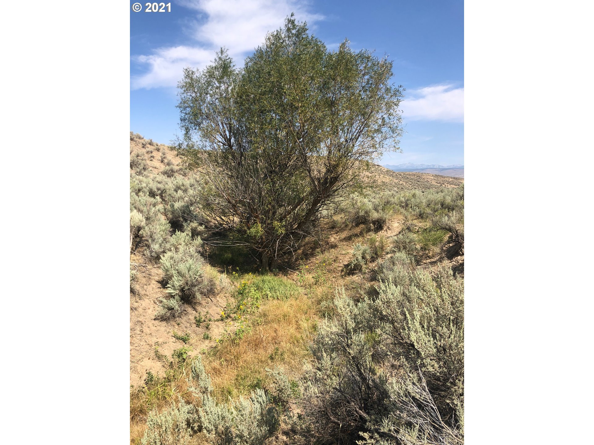 0 Love Ranch Road Baker City, OR 97814 - Photo 13 of 26