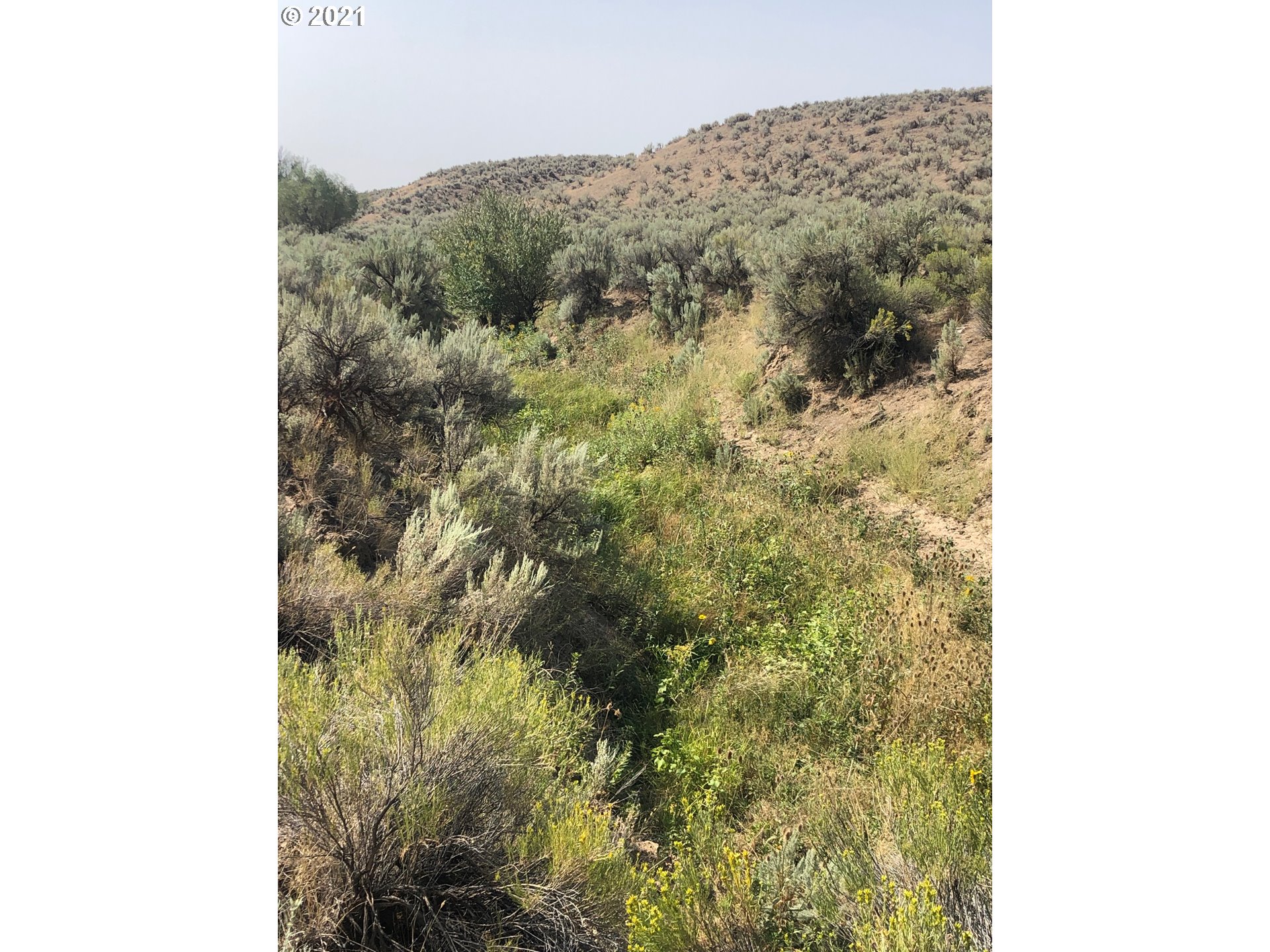 0 Love Ranch Road Baker City, OR 97814 - Photo 14 of 26