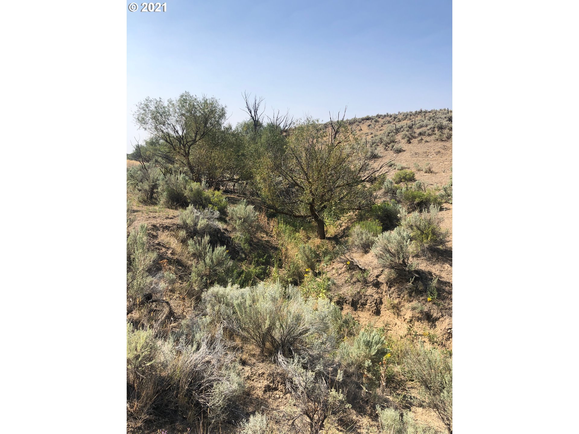 0 Love Ranch Road Baker City, OR 97814 - Photo 26 of 26