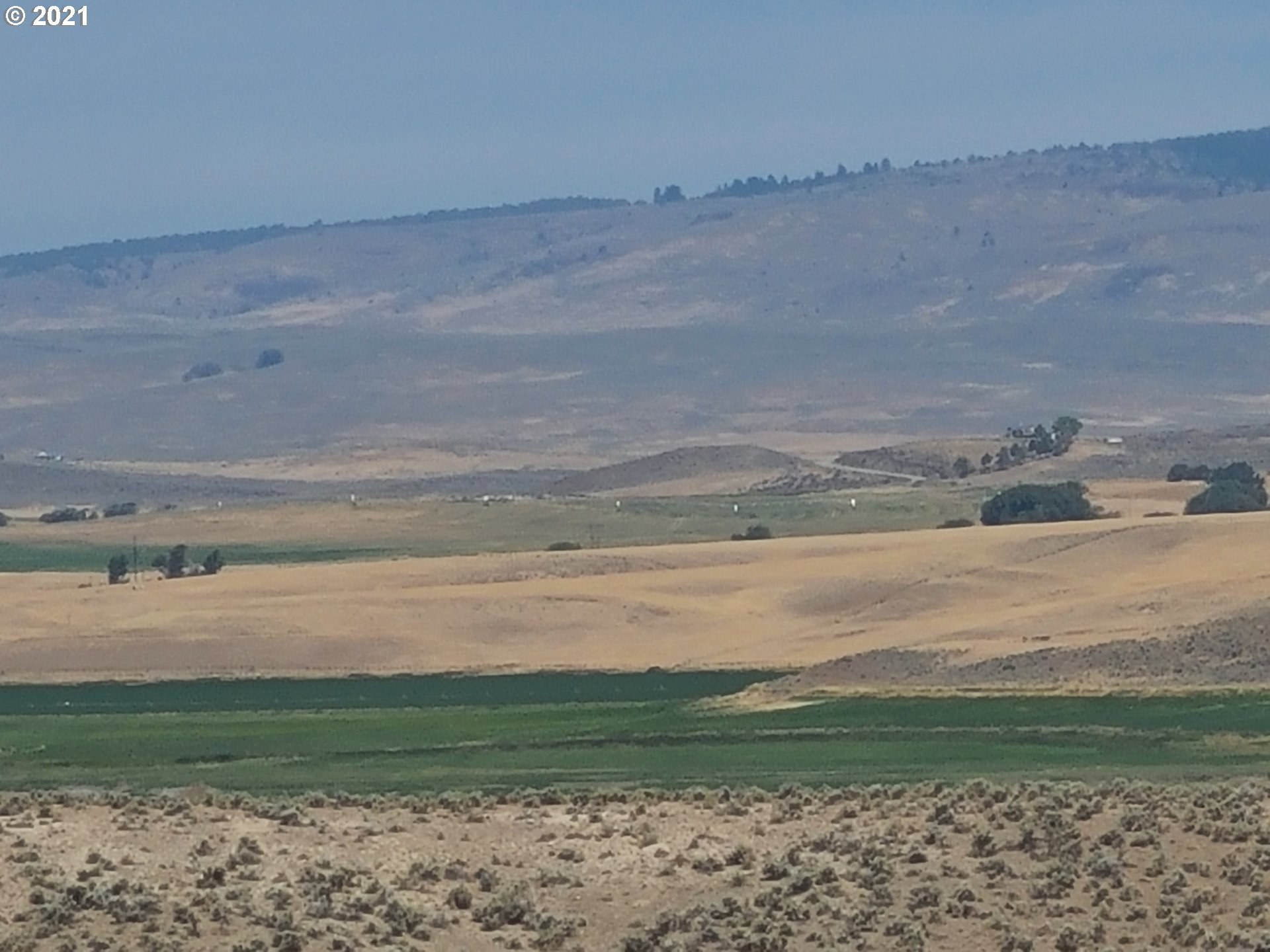 0 Love Ranch Road Baker City, OR 97814 - Photo 3 of 26