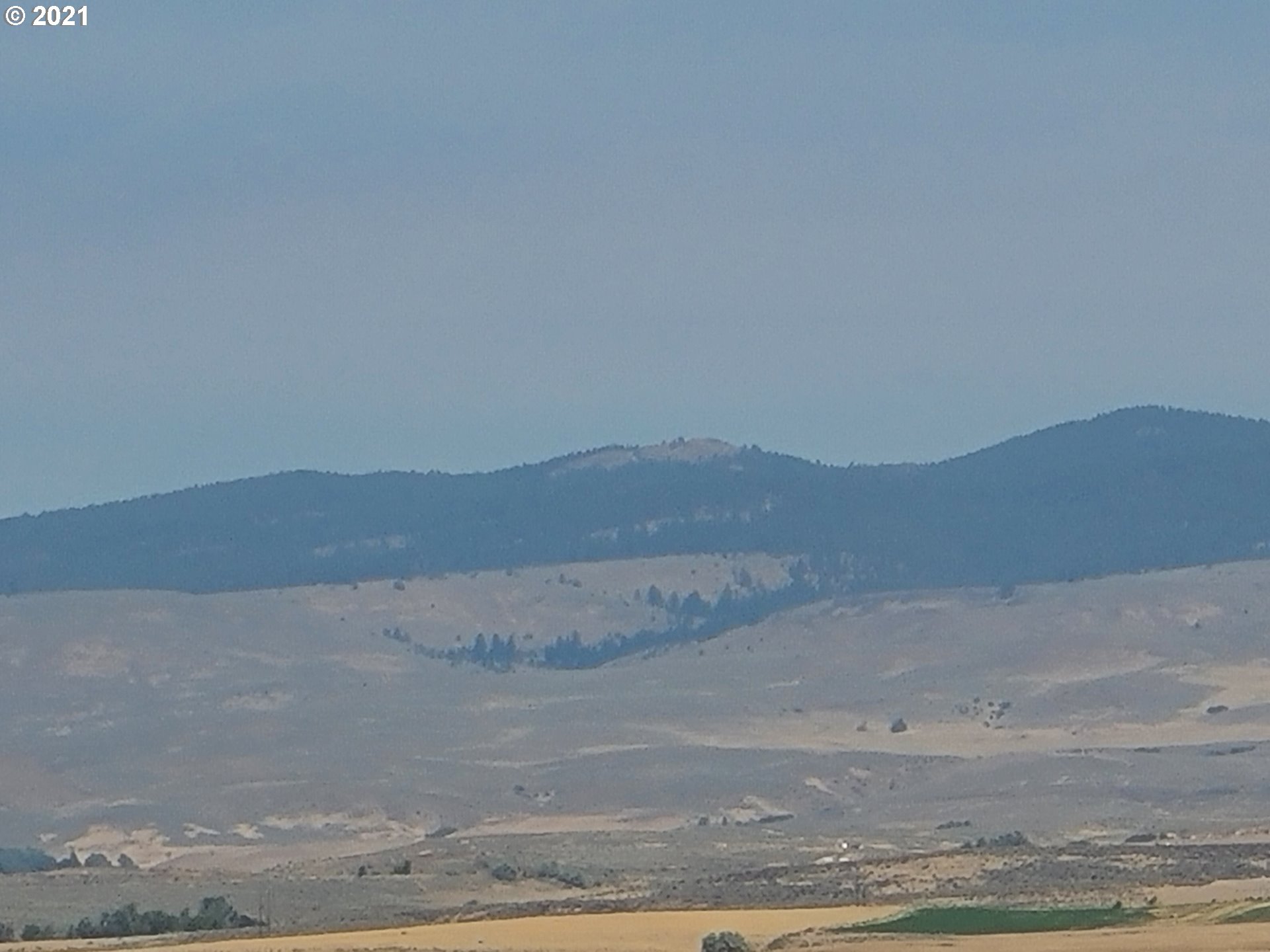 0 Love Ranch Road Baker City, OR 97814 - Photo 7 of 26