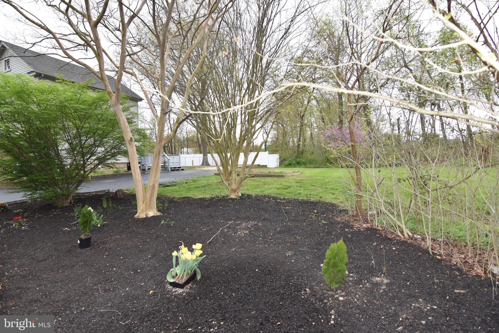 99 Democrat Road Mickleton, NJ 08056 - Photo 21 of 23