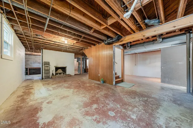 a view of a yard with plants and large trees