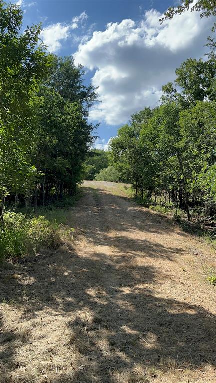 381 Ranchview Court Bowie, TX 76230 - Photo 2 of 7 Gradual incline pathway surrounded by mature trees and natural vegetation