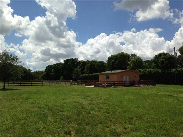 5050 Hancock Road Southwest Ranches, FL 33330 - Photo 13 of 13 a view of a yard with a large trees