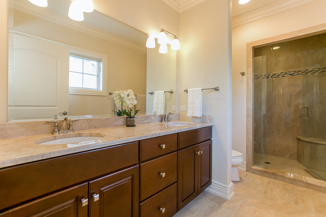 4553 Wolf Road Western Springs, IL 60558 - Photo 16 of 35 a bathroom with a granite countertop sink mirror and double