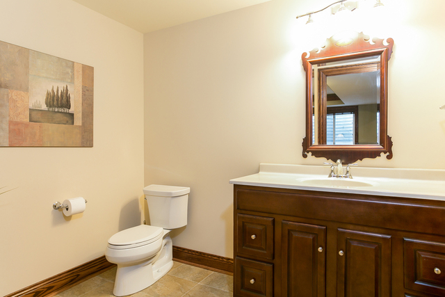 4553 Wolf Road Western Springs, IL 60558 - Photo 30 of 35 a bathroom with a toilet a sink and mirror