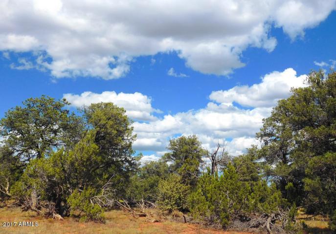 7271 Red Butte Road, Unit 112 Williams, AZ 86046 - Photo 1 of 12 20170930202619273524000000-o