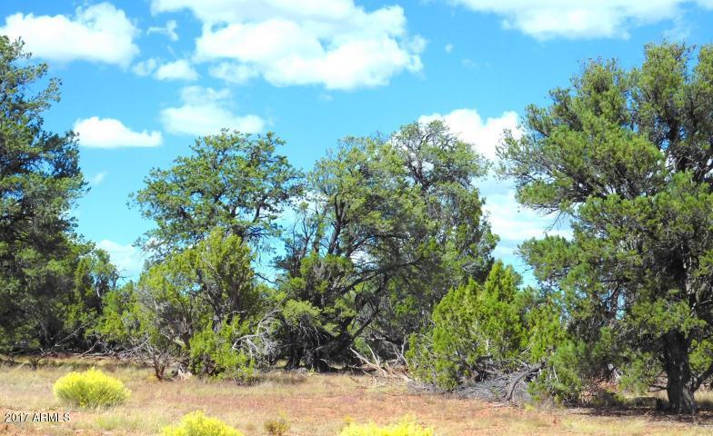 7271 Red Butte Road, Unit 112 Williams, AZ 86046 - Photo 11 of 12 20170930202728696183000000-o