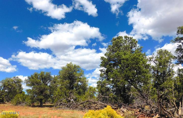 7271 Red Butte Road, Unit 112 Williams, AZ 86046 - Photo 12 of 12 20170930202740068614000000-o