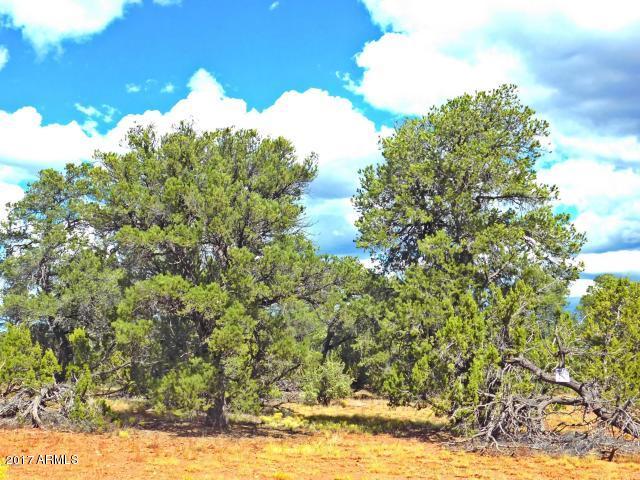 7271 Red Butte Road, Unit 112 Williams, AZ 86046 - Photo 2 of 12 20170930202626502130000000-o