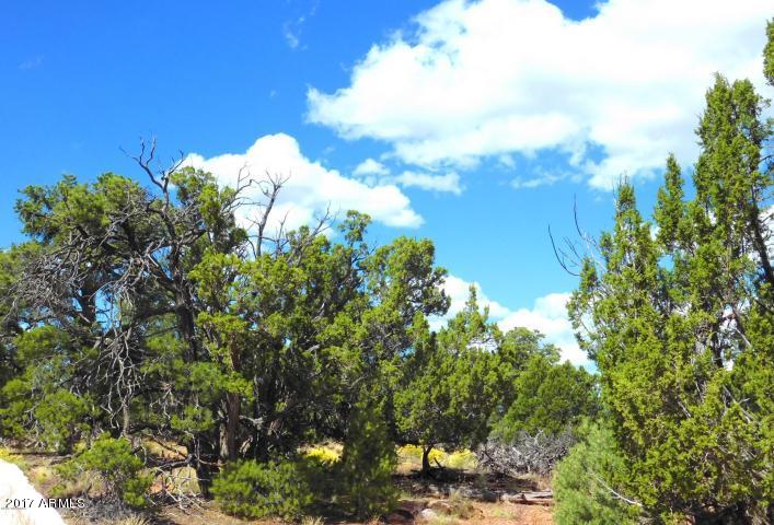 7271 Red Butte Road, Unit 112 Williams, AZ 86046 - Photo 3 of 12 20170930202632718401000000-o
